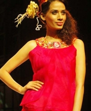 Parul and Ashie's Collection